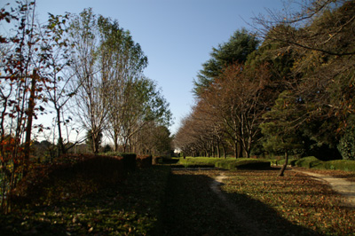 赤山城