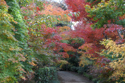 小林モミジ園