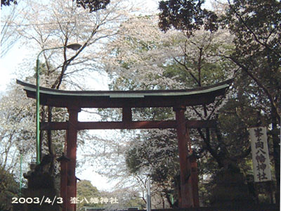 峯八幡の桜