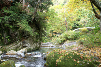 谷川岳