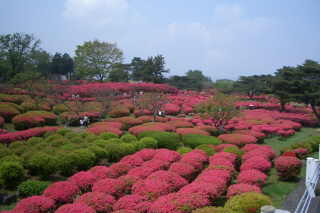 小室山公園