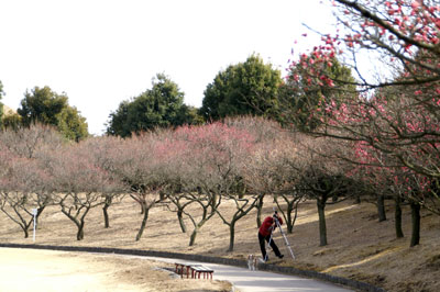 桐生南公園