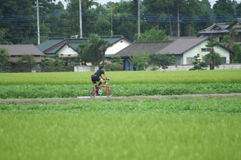 2008年8月10日 朝：サイクリング 