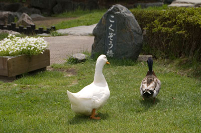 田園プラザかわば