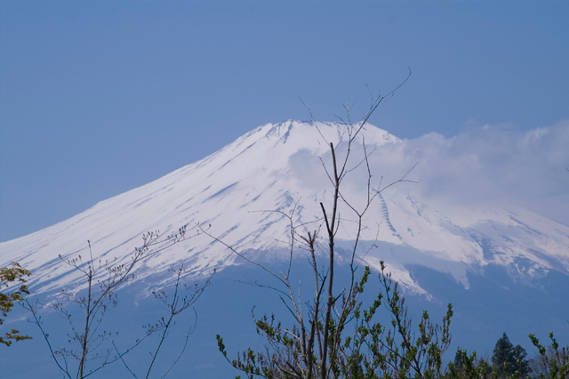 富士山