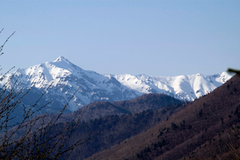 笠岳