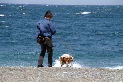 日本海