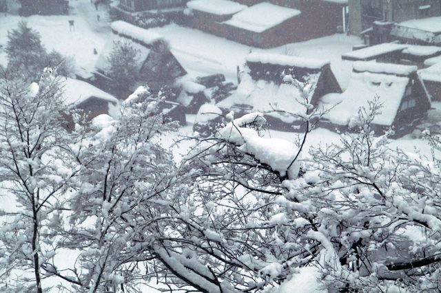 白川郷