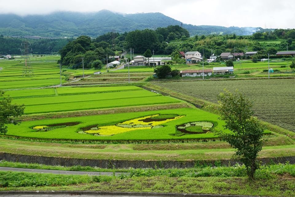 なかやま盆地